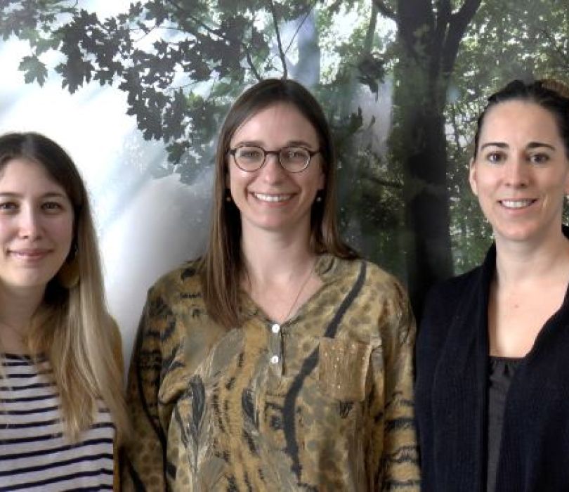Drs Charlotte Grégoire, Audrey Vanhaudenhuyse et Olivia Gosseries, responsables de l’étude en oncologie au CHU de Liège