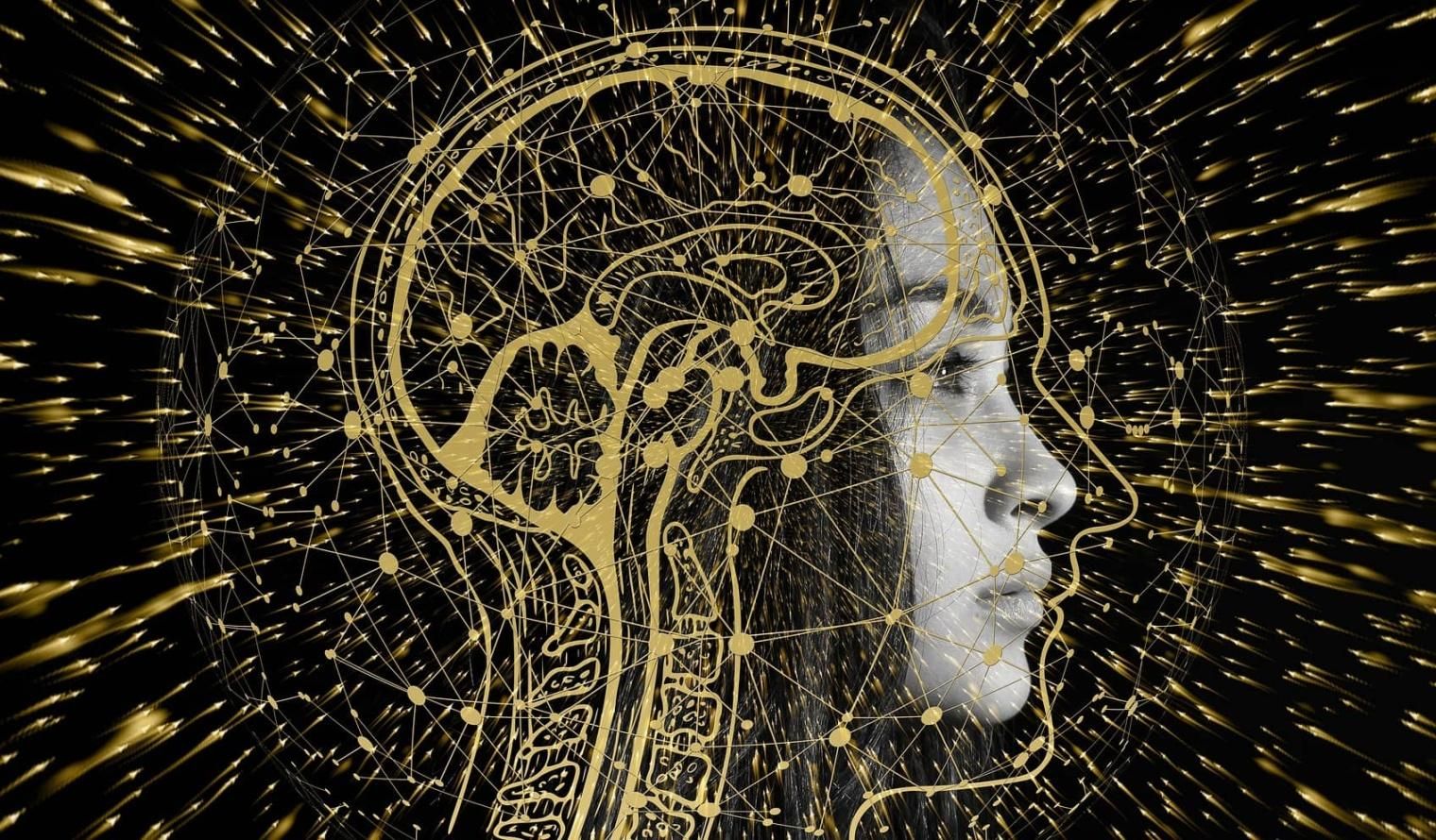 Musée des confluences Lyon