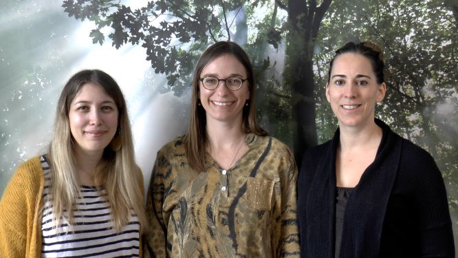 Drs Charlotte Grégoire, Audrey Vanhaudenhuyse et Olivia Gosseries, responsables de l’étude en oncologie au CHU de Liège